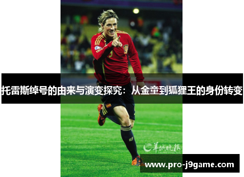 托雷斯绰号的由来与演变探究:从金童到狐狸王的身份转变 托雷斯绰号的由来与演变探究:从金童到狐狸王的身份转变