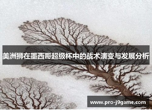 美洲狮在墨西哥超级杯中的战术演变与发展分析 美洲狮在墨西哥超级杯中的战术演变与发展分析
